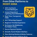 The Top 10 Reasons Why Players Move from Other Platforms to Reddy Anna